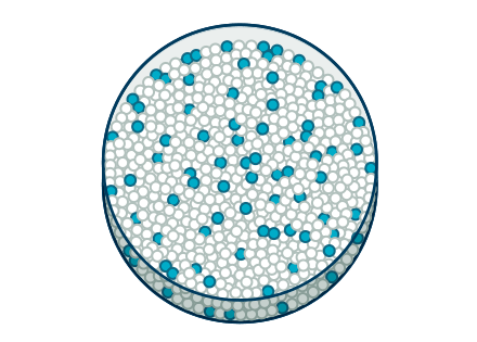 Early Molecular Response (EMR)