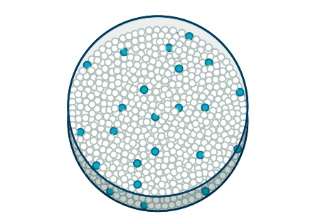 Complete Cytogenetic Response (CCyR)