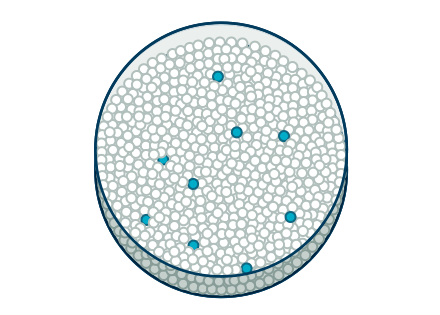 Major Molecular Response (MMR)
