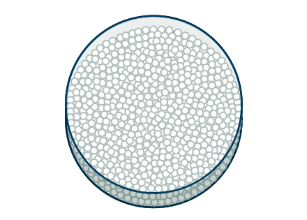 Complete Molecular Response (CMR)